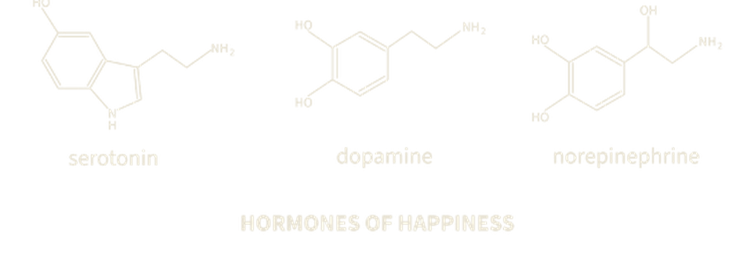 Serotonin, dopamine and norepinephrine